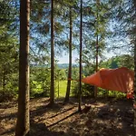 Am Waldesrand 2* Regen