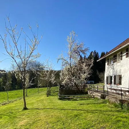Am Waldesrand Regen