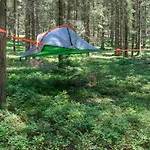 Am Waldesrand Regen
