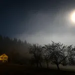 Am Waldesrand Regen