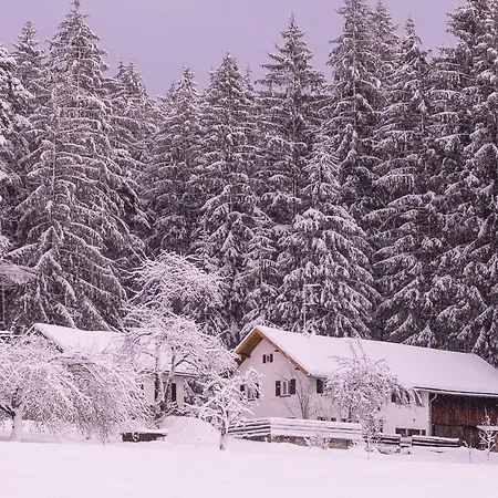 Am Waldesrand Regen