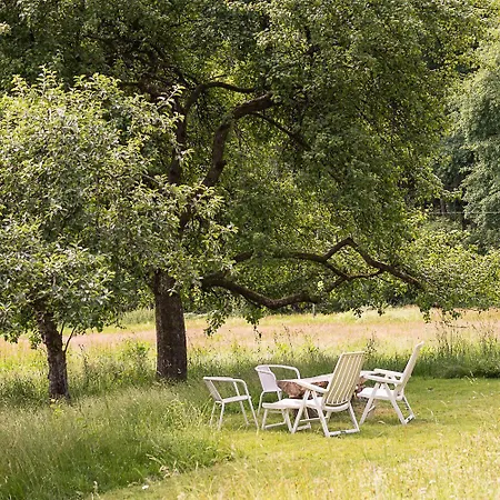 Am Waldesrand B&B 2*